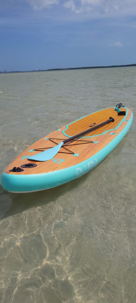 DAMA inflatable paddleboard in Dunedin FL